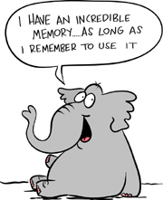 elephant memory